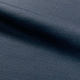 Luum Stimuli Catalyst Upholstery Fabric