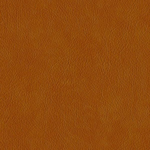 Designtex Hyde Autumn Upholstery Vinyl