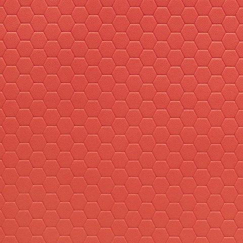 Remnant of Momentum Hive Guava Upholstery Vinyl