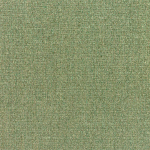 Sunbrella Canvas Fern 5487-0000 Green Outdoor Upholstery Fabric