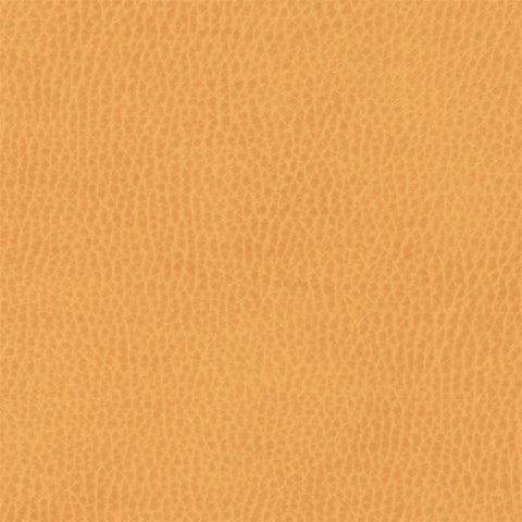 Remnant of Architex Sunnyvale Maude Orange Outdoor Upholstery Fabric Vinyl