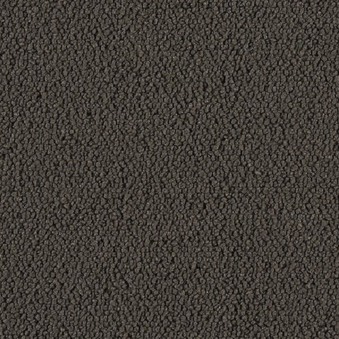 Designtex Fabrics Upholstery Fabric Remnant Boucle Char Gray