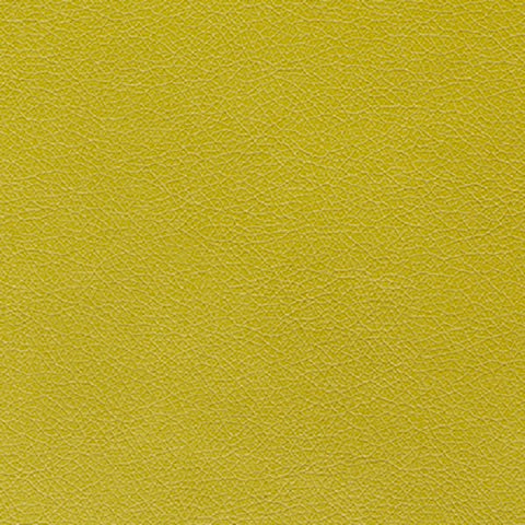 Remnant of Momentum Canter Kiwi Green Upholstery Fabric