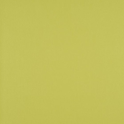 Fabric Remnant of Designtex Sorano Chervil Green Upholstery Vinyl