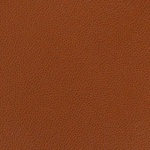 Remnant of Momentum Silica Leather Rustic Upholstery Vinyl